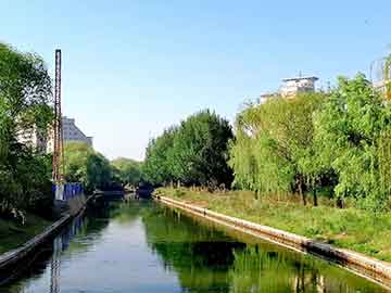 新浪澳门即时动态,斯凯奇突然宣布退市，背后原因及市场影响分析