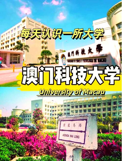 澳门科技大学金融科技硕士和巴黎赢了球烧了城与巴黎赢了吗